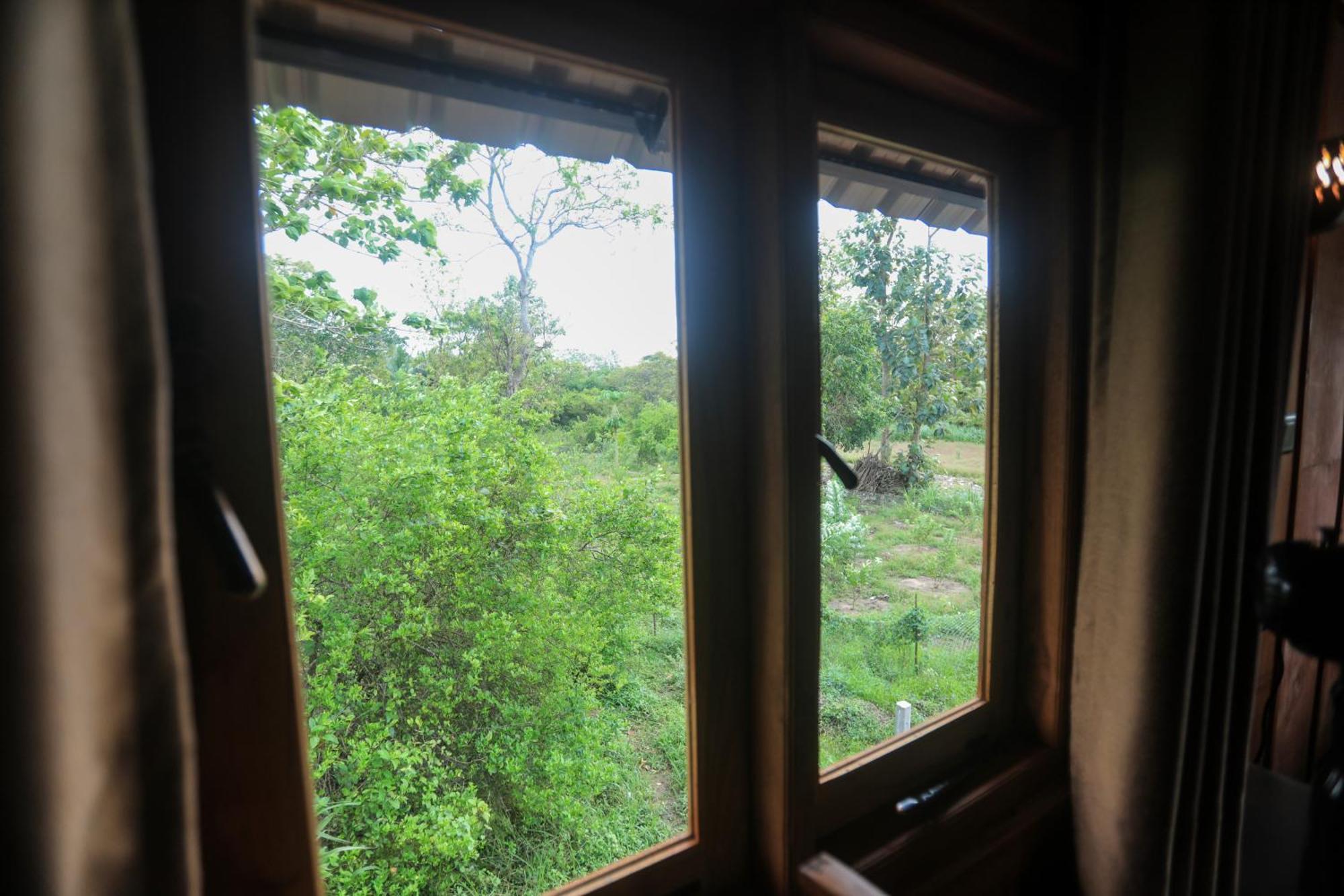 Вілла Lion Wood Treehouse Talkote Екстер'єр фото