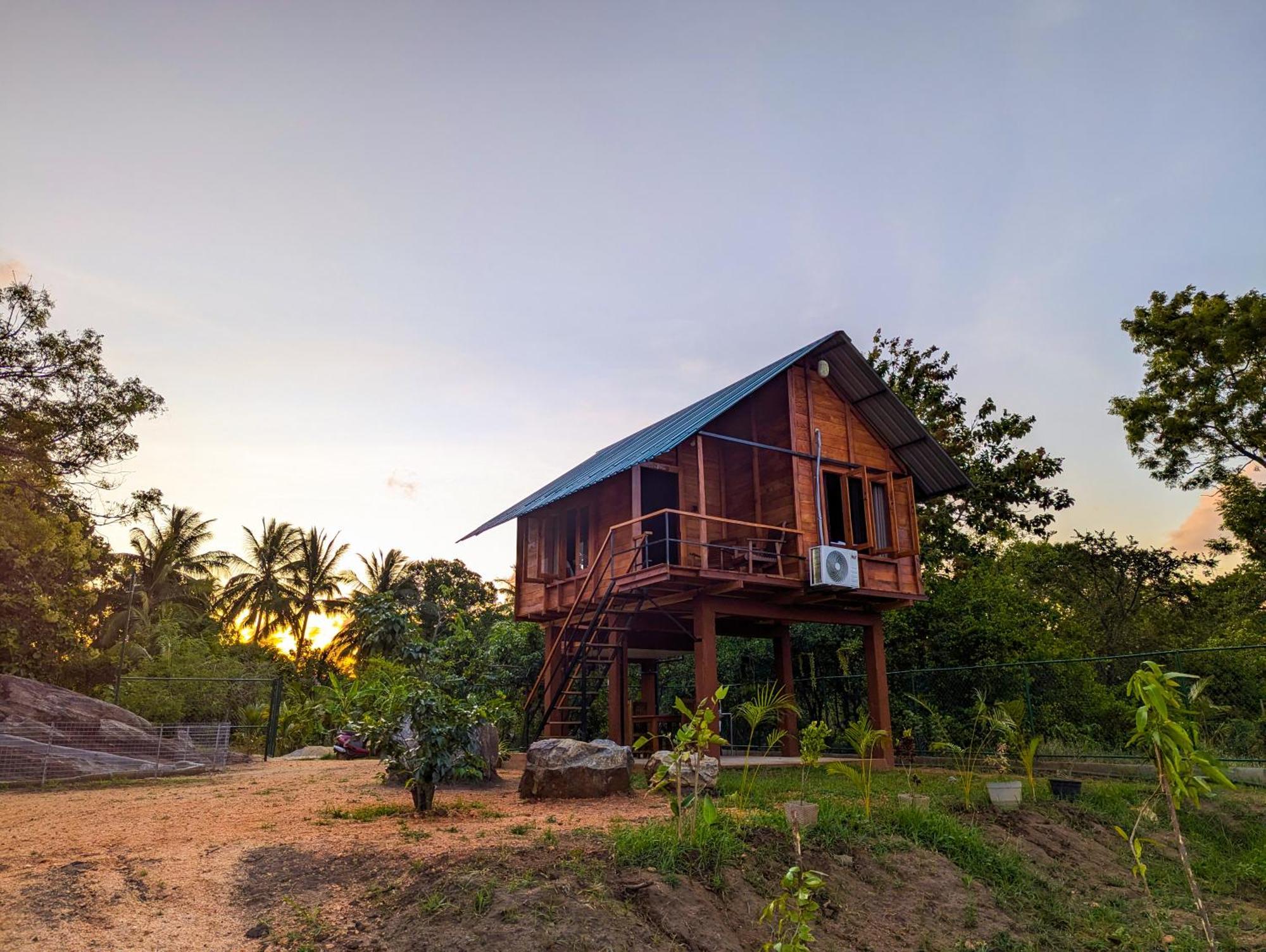 Вілла Lion Wood Treehouse Talkote Екстер'єр фото