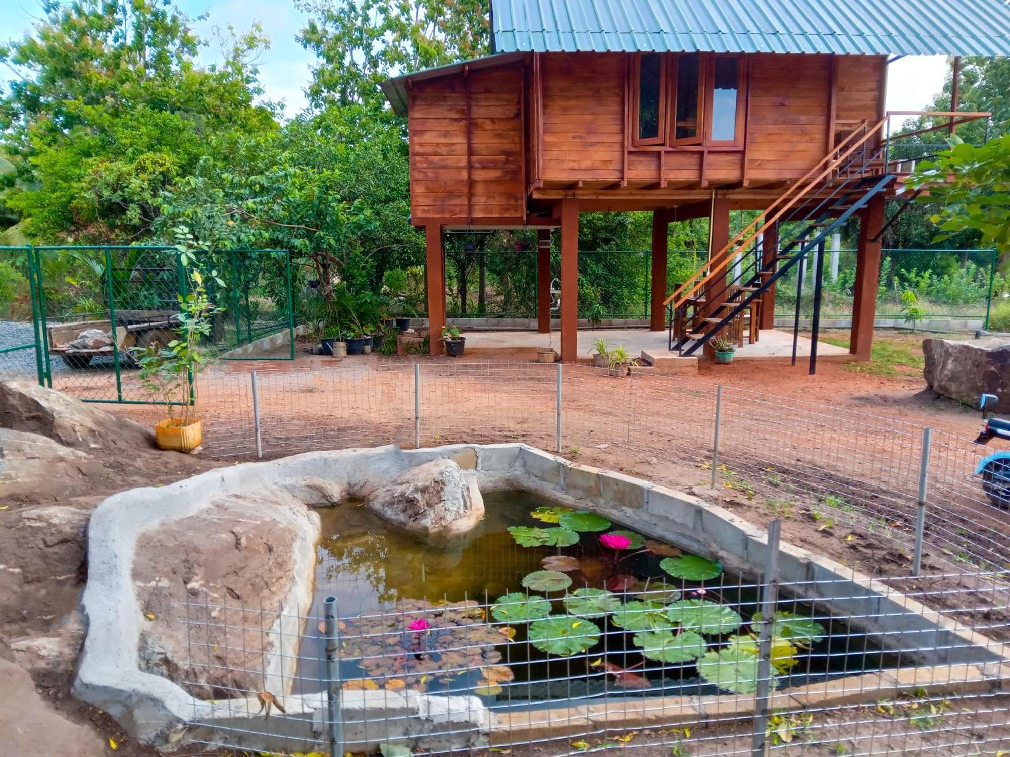 Вілла Lion Wood Treehouse Talkote Екстер'єр фото