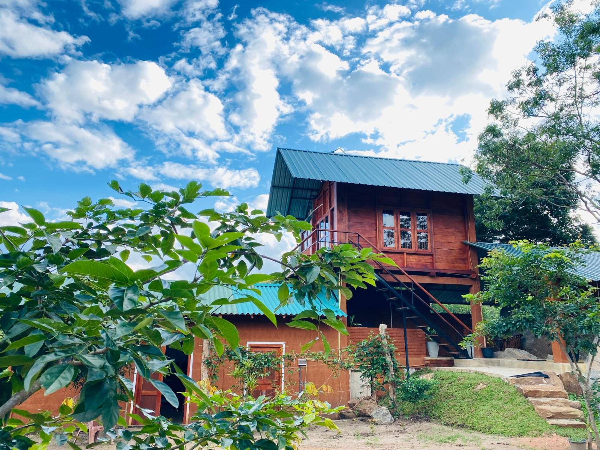 Вілла Lion Wood Treehouse Talkote Екстер'єр фото
